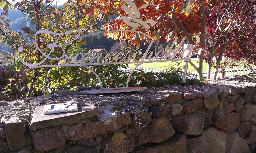 Maso Franceschella Bed and Breakfast Carano  Buitenkant foto