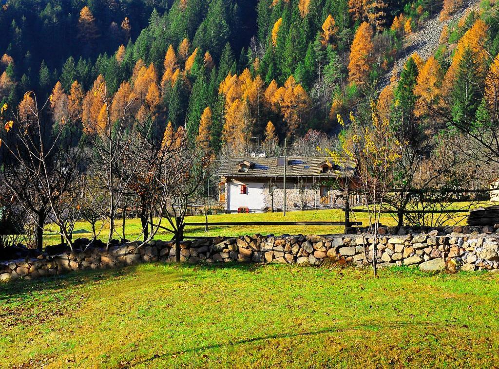 Maso Franceschella Bed and Breakfast Carano  Buitenkant foto
